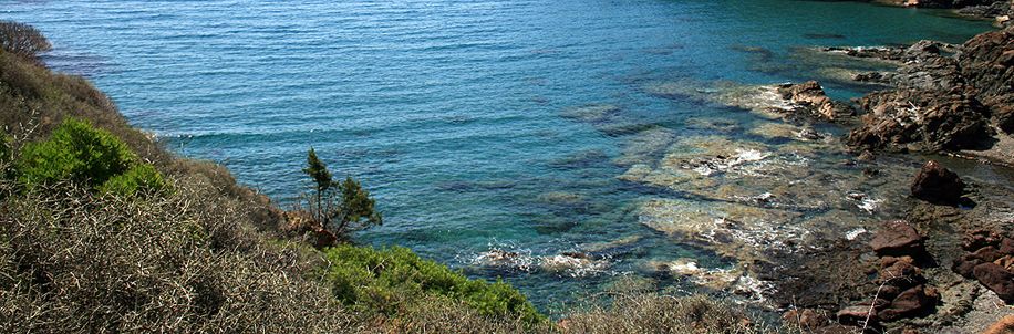 Capra al mare